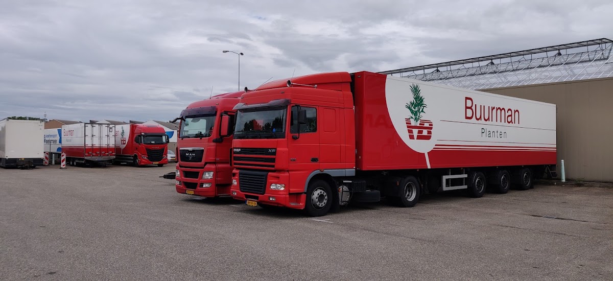 Buurman Planten Export