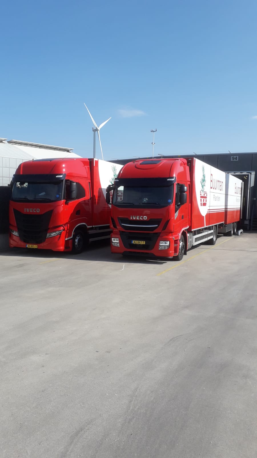 Foto van Buurman Planten Export in Bemmel