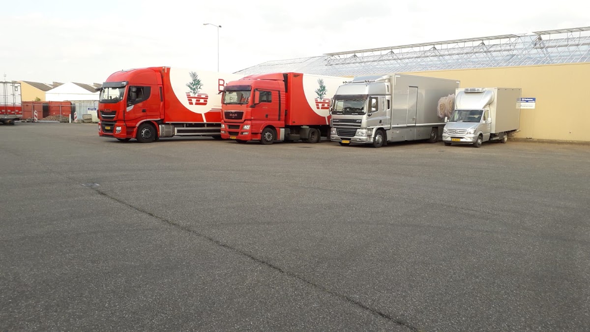 Foto van Buurman Planten Export in Bemmel