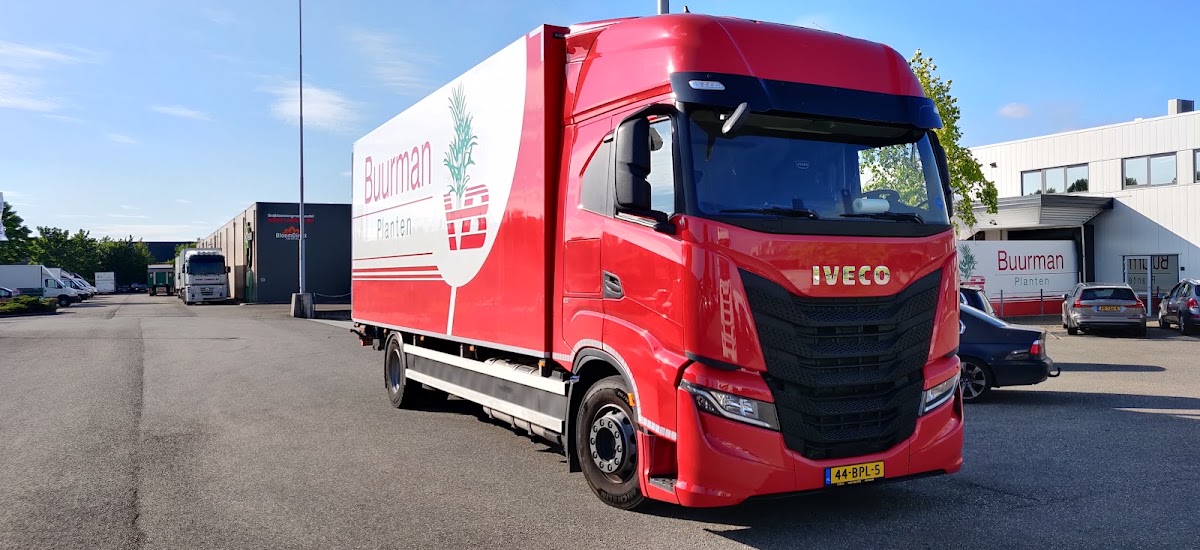 Foto van Buurman Planten Export in Bemmel