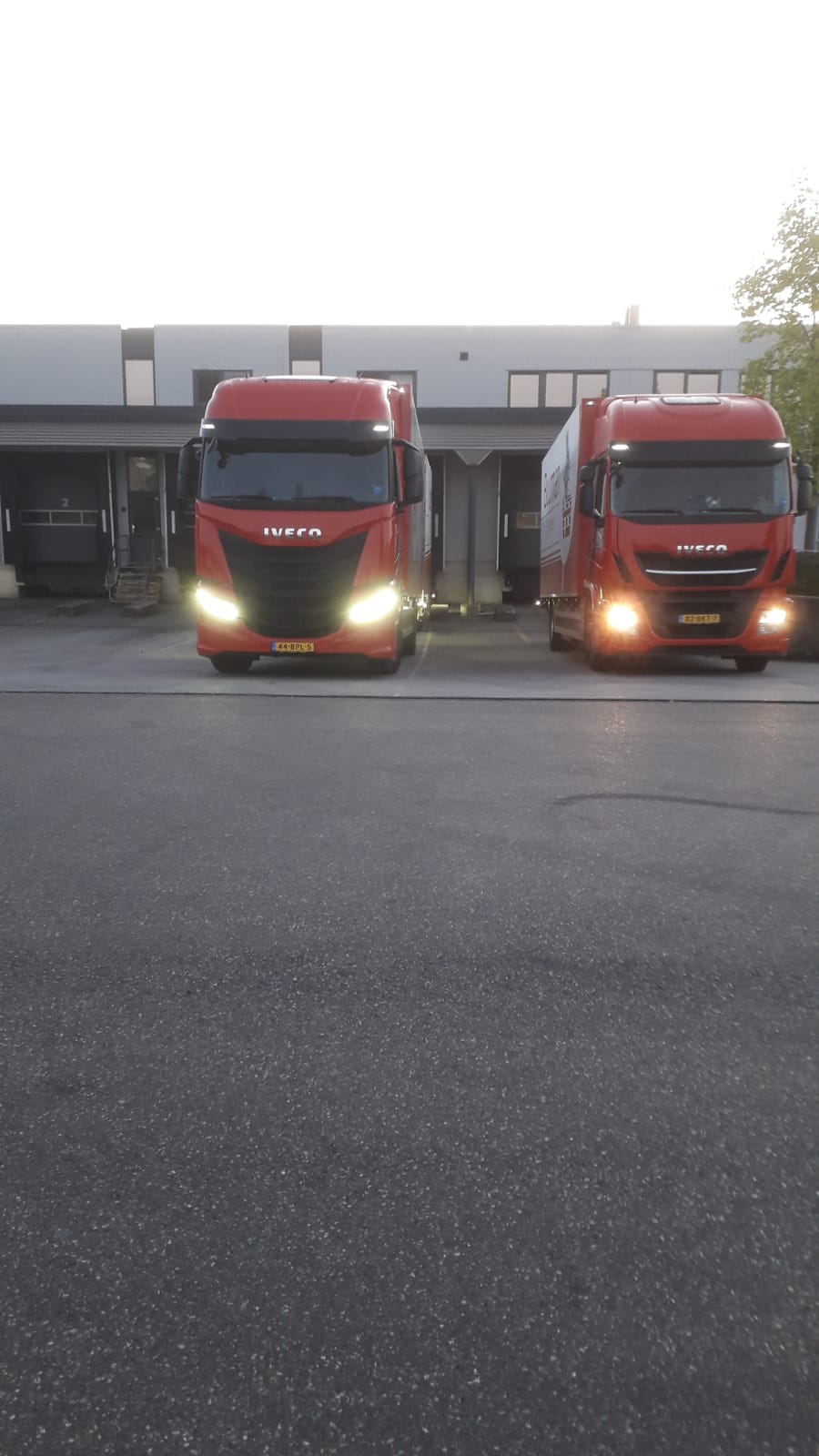 Foto van Buurman Planten Export in Bemmel