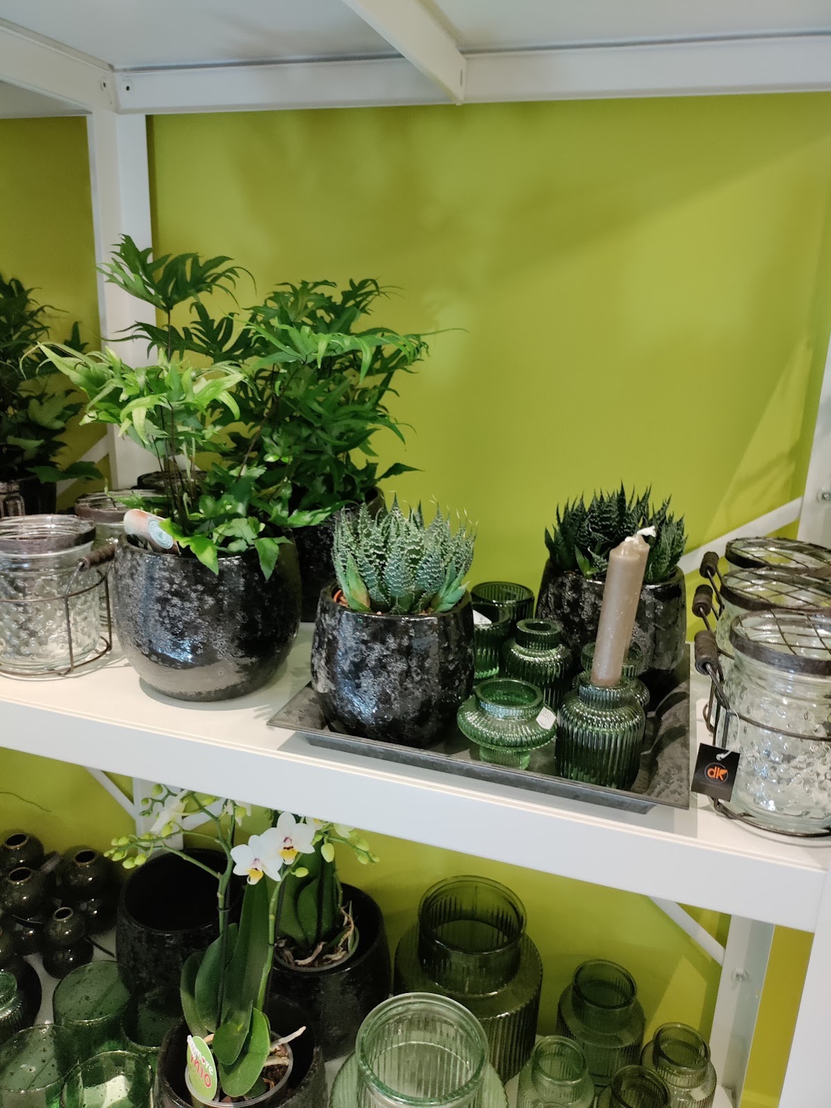 Foto van Bloemuniek in Borculo