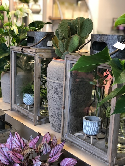 Foto van Van Beest Bloemen en Planten Hoofdkantoor in Putten