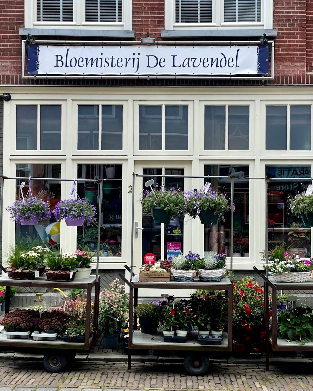 Foto van Bloemisterij 'De Lavendel' in Grave