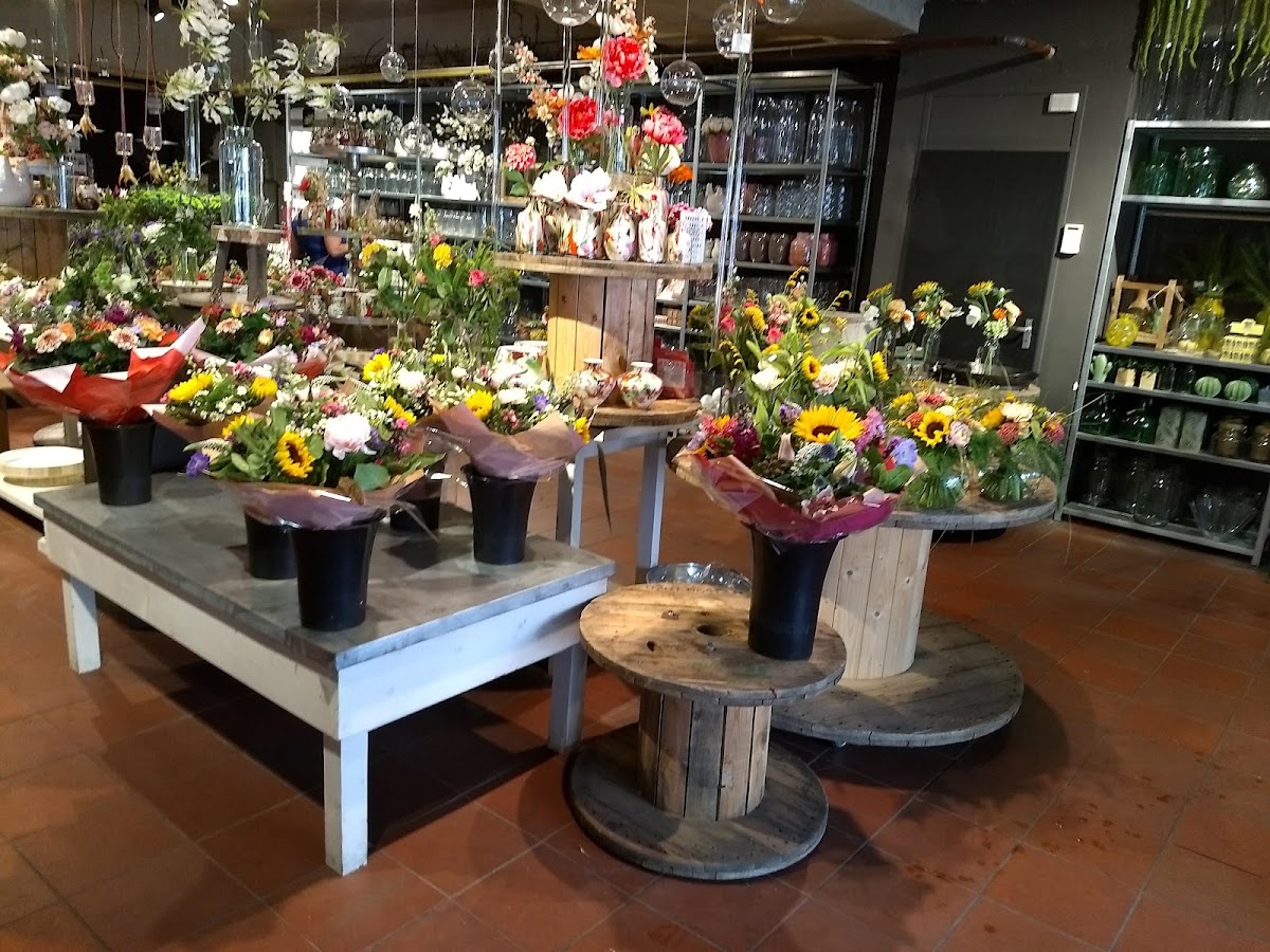 Foto van Viva Fleur in Hoogeveen