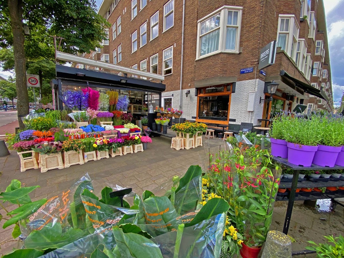 Foto van Bloemen van Tante Lien in Amsterdam