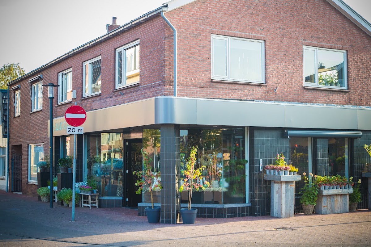 Bloemen Planten van Nature Geschikt