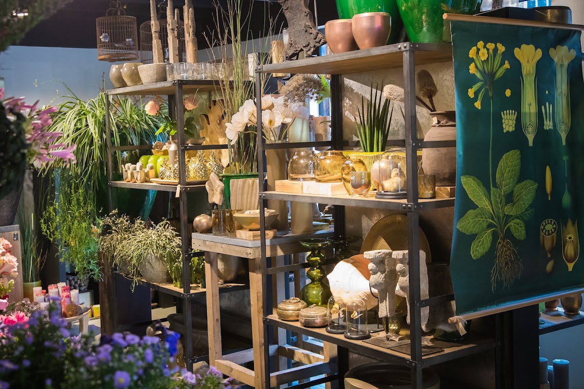 Foto van Bloemen Planten van Nature Geschikt in Lichtenvoorde