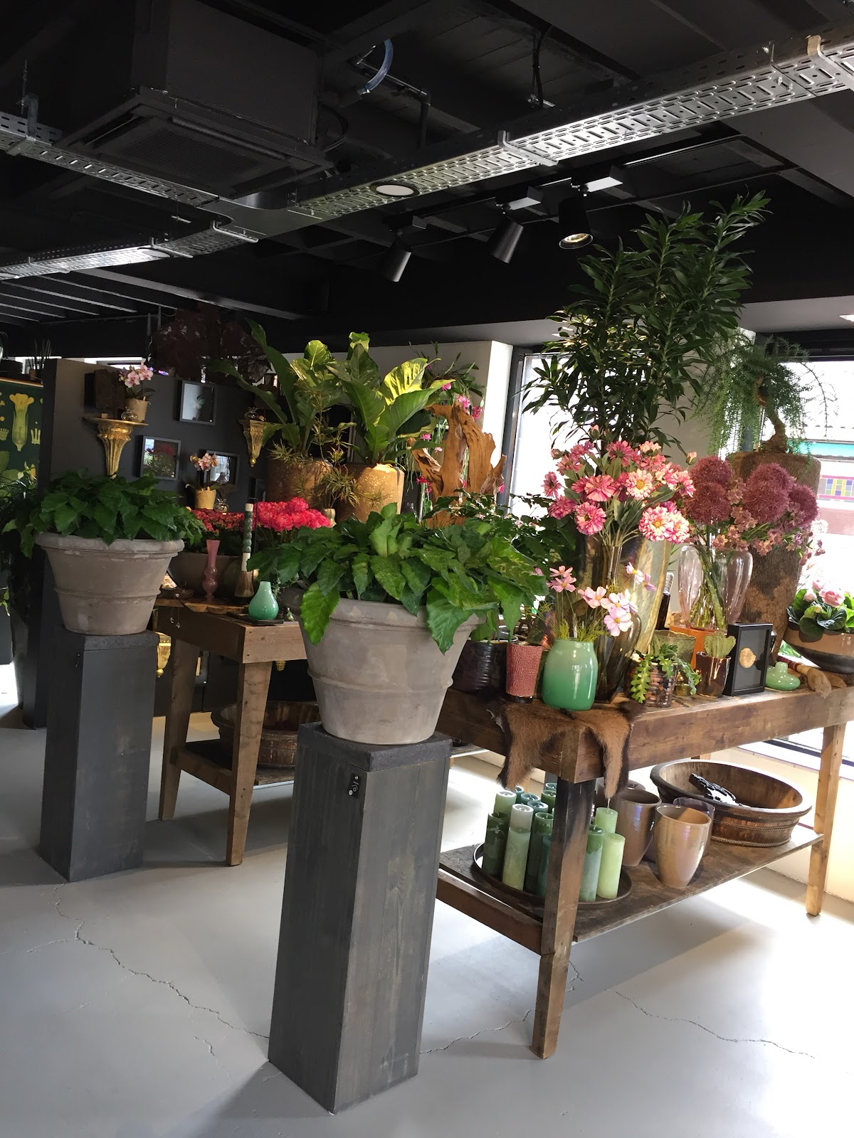 Foto van Bloemen Planten van Nature Geschikt in Lichtenvoorde