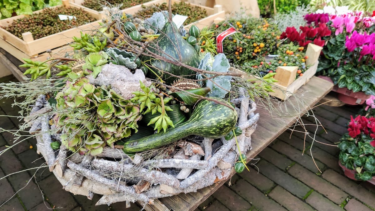 Foto van Bloemenatelier Han Fokkink in Lochem