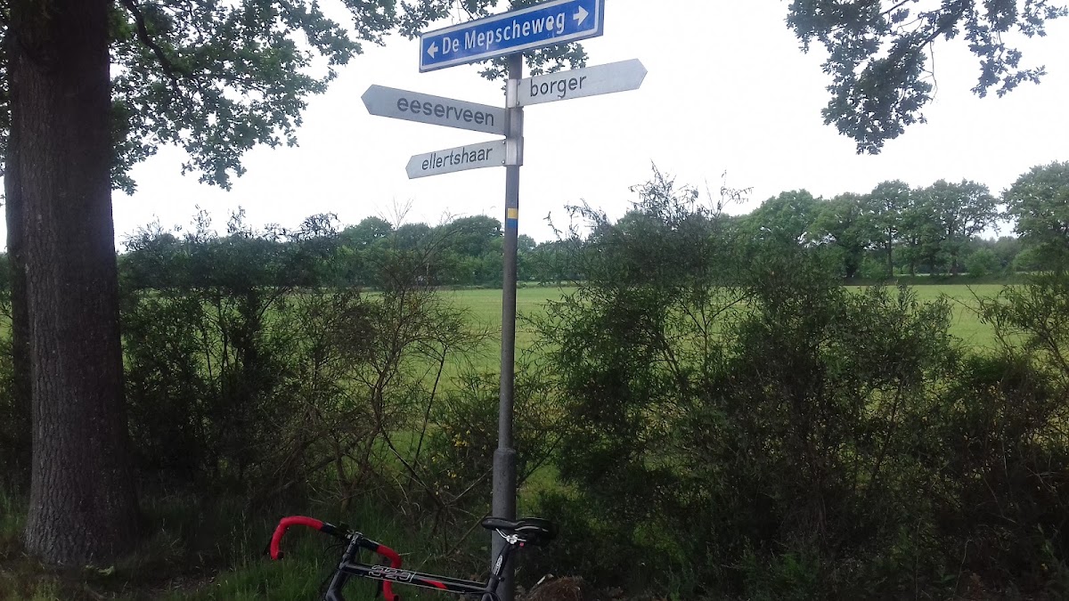 Foto van Greenpoint Boomkwekerijen in Westdorp
