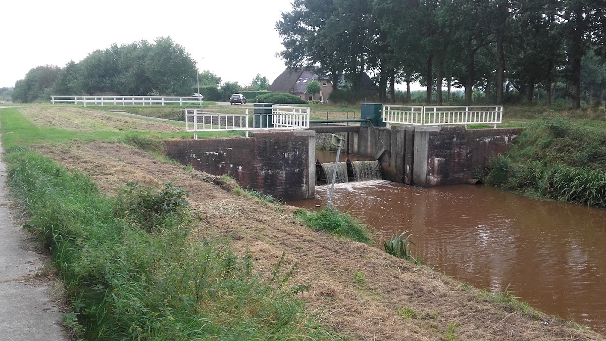 Foto van Greenpoint Boomkwekerijen in Westdorp