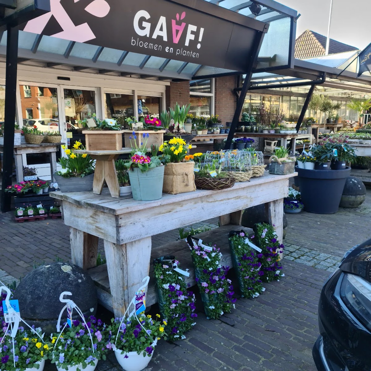 Gaaf! Bloemen en Planten