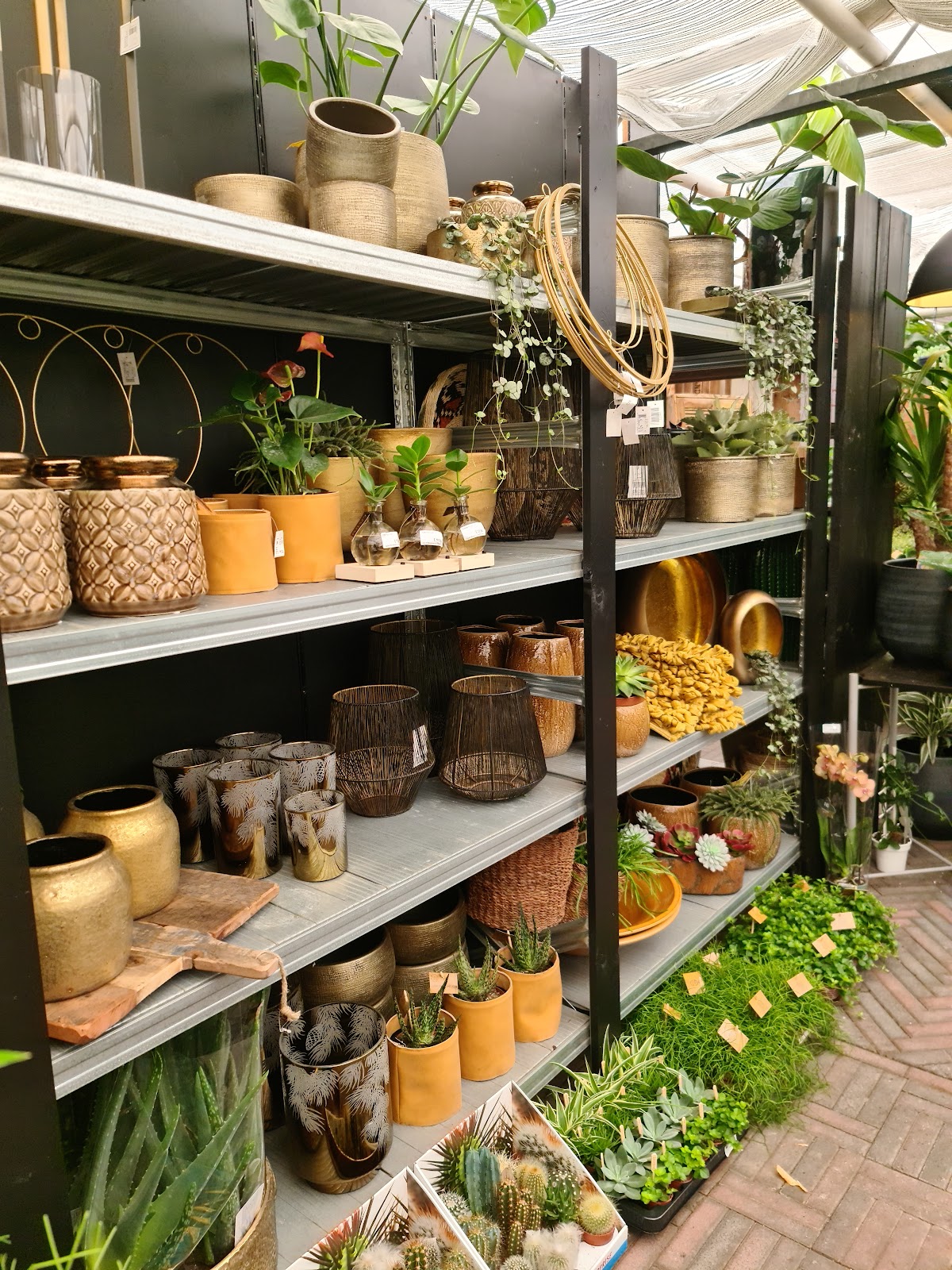 Foto van Gaaf! Bloemen en Planten in Dalen