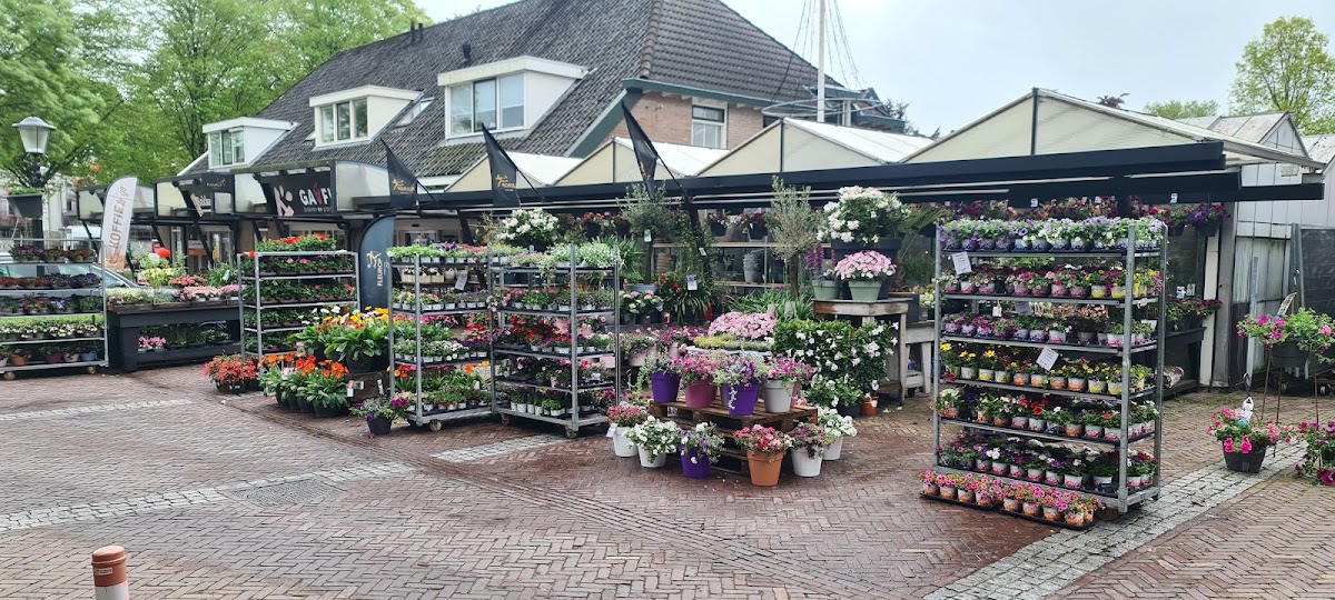 Foto van Gaaf! Bloemen en Planten in Dalen