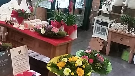 Foto van Berends Groencentrum in Zwartemeer
