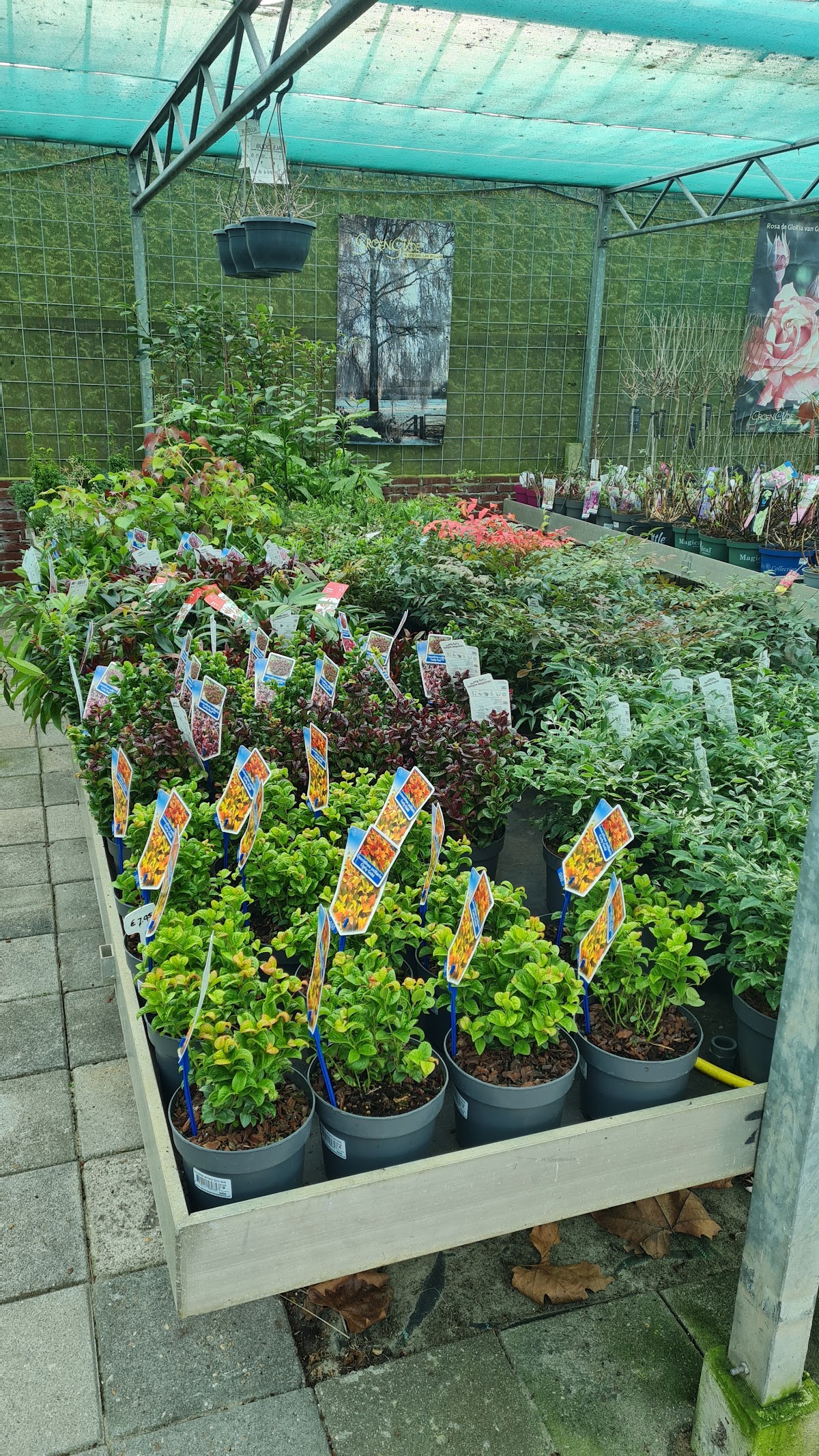 Foto van Berends Groencentrum in Zwartemeer