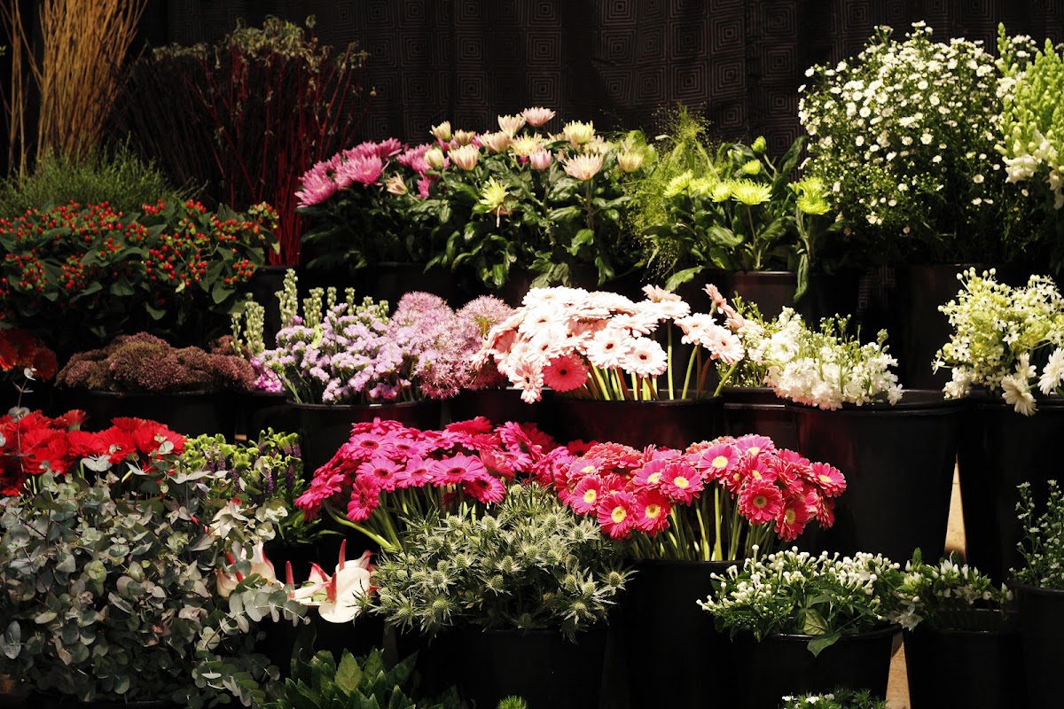 Van Briemen bloemen
