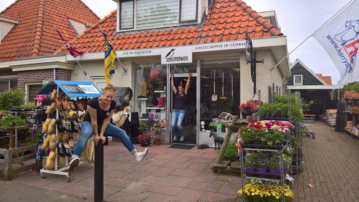de Koperwiek