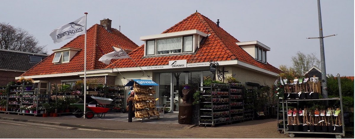 Foto van de Koperwiek in Midsland