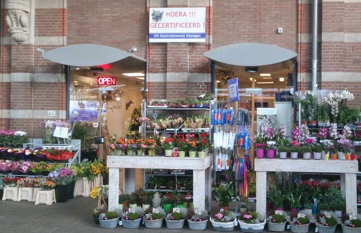 Flowers Insight