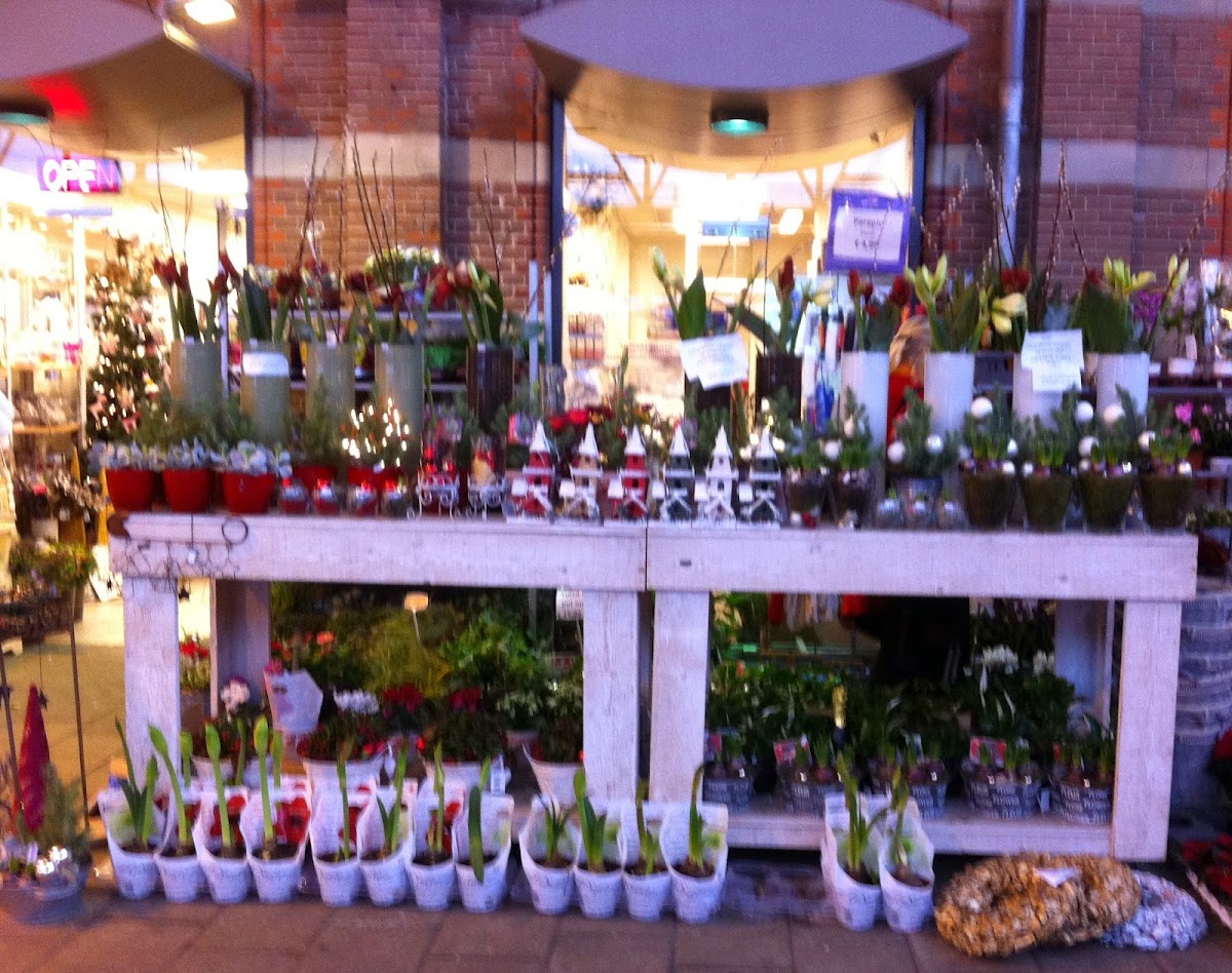 Foto van Flowers Insight in Nijmegen