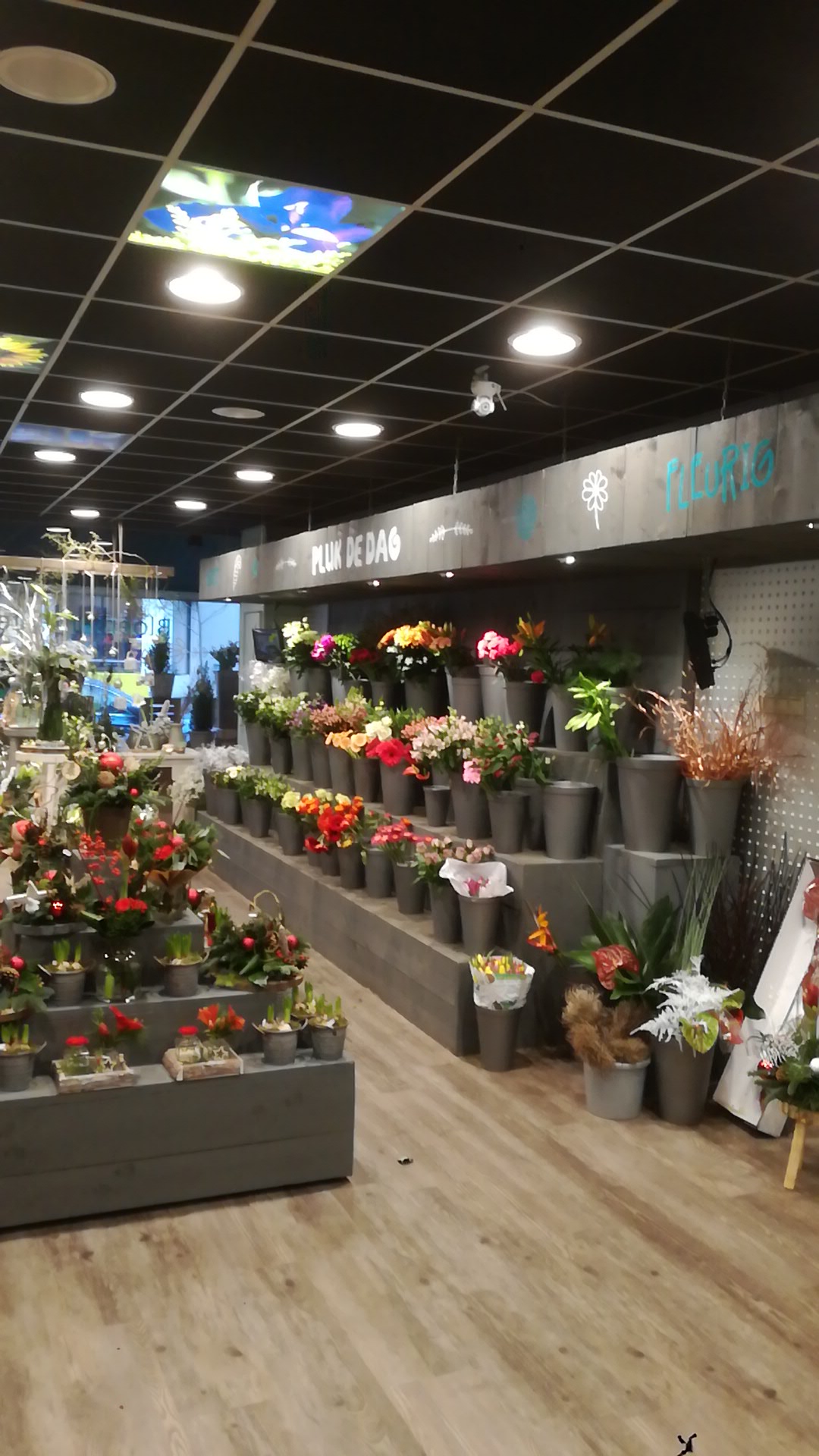 Bloemen Petersen