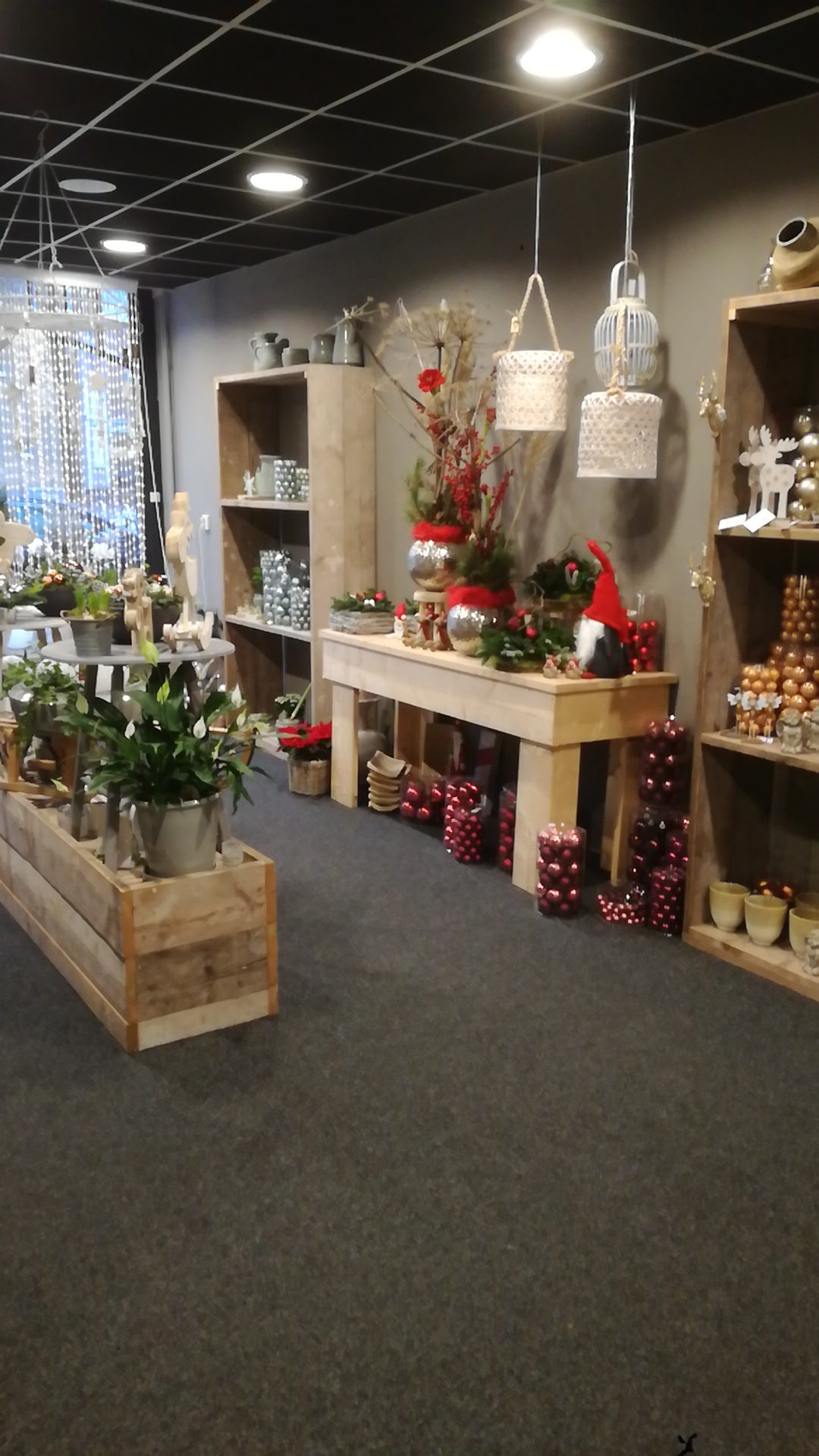 Foto van Bloemen Petersen in Meppel