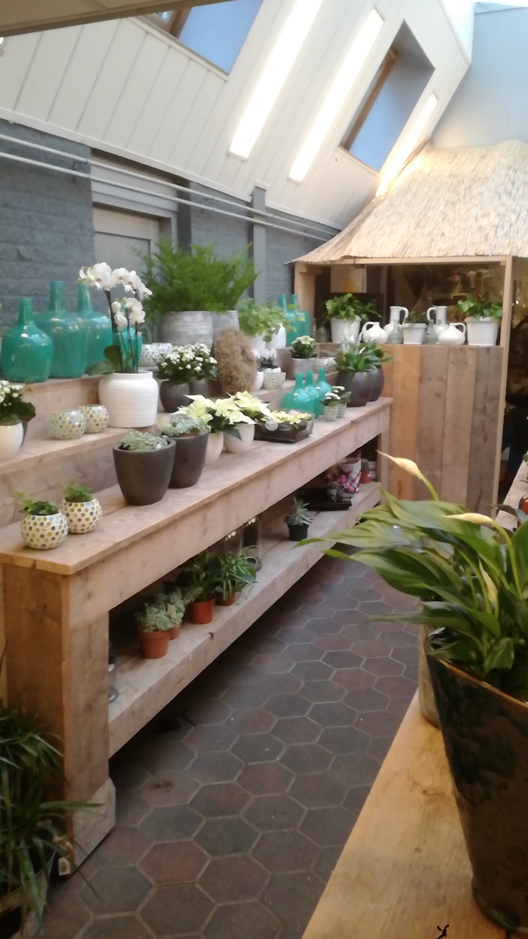 Foto van Bloemen Petersen in Meppel