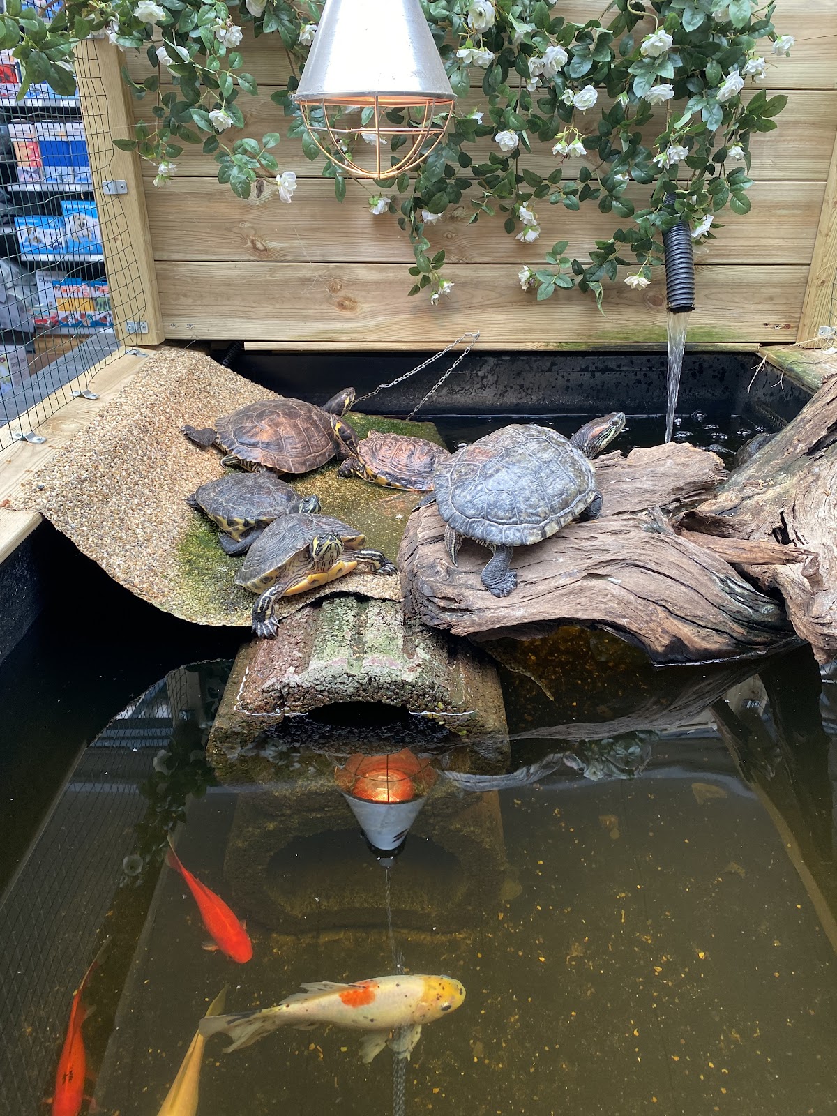 Foto van Tuincentrum Bodenstaff in Smilde