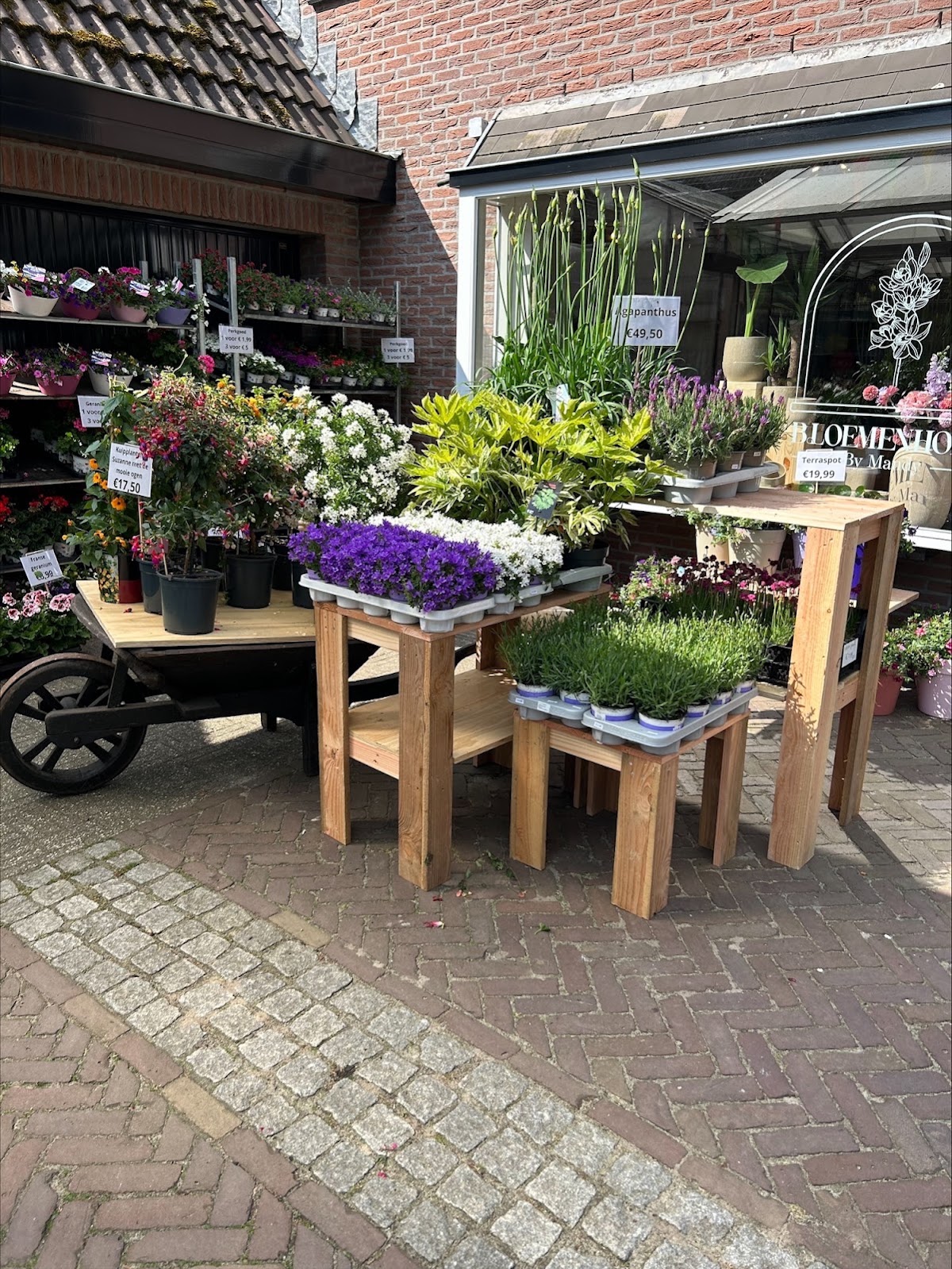 Bloemenhoek by Mandy