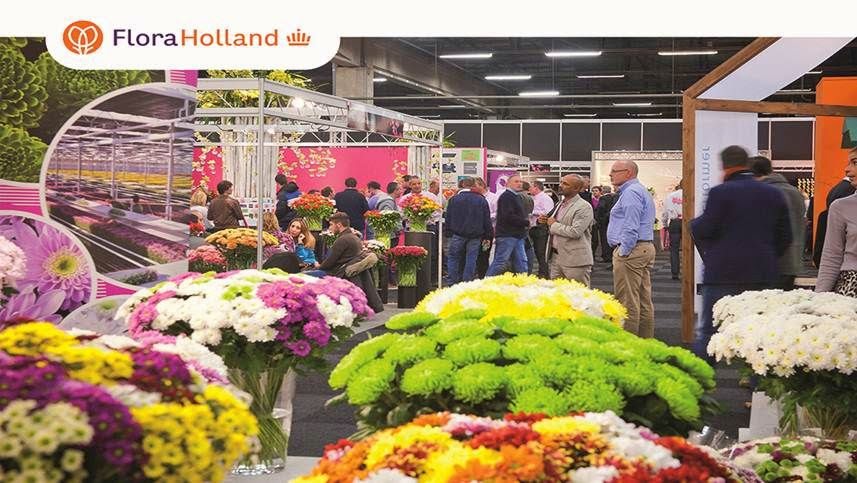 Royal FloraHolland Eelde