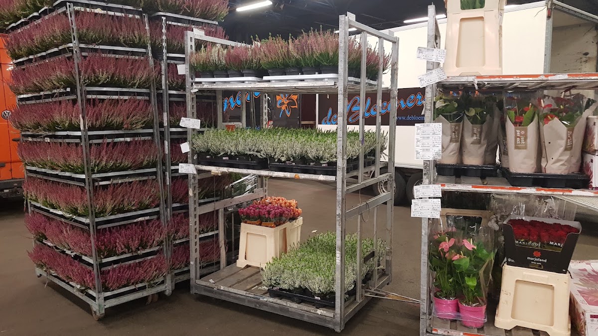 Foto van Royal FloraHolland Eelde in Eelde