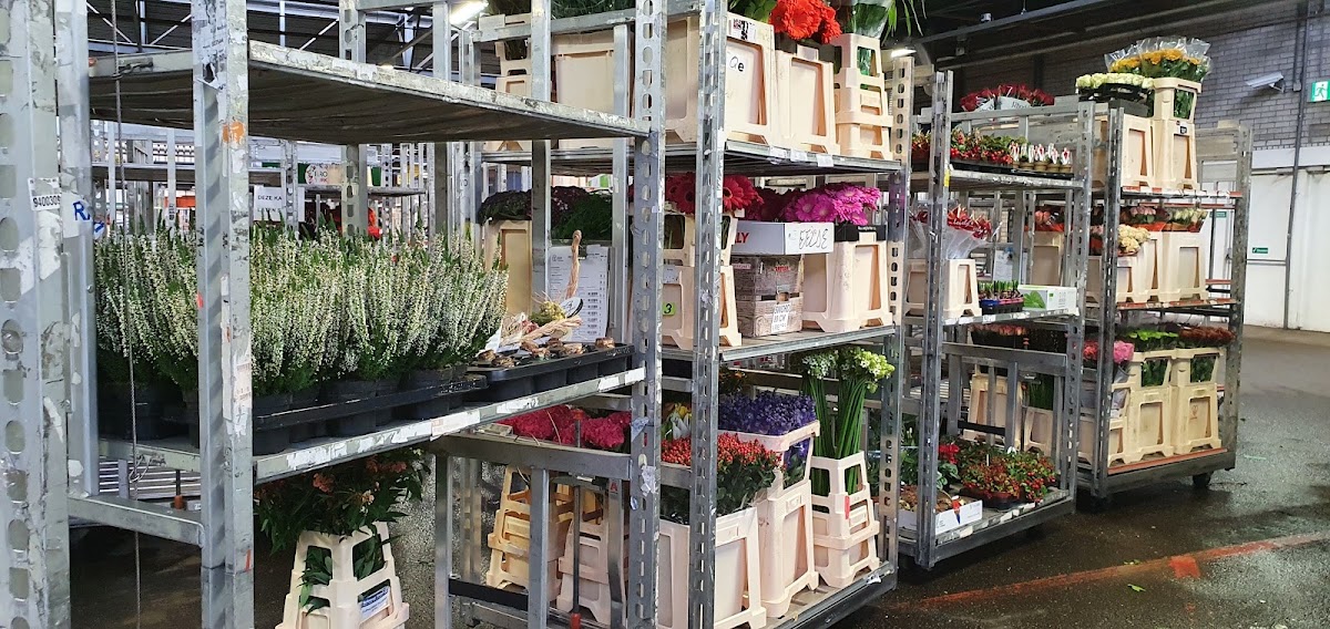 Foto van Royal FloraHolland Eelde in Eelde