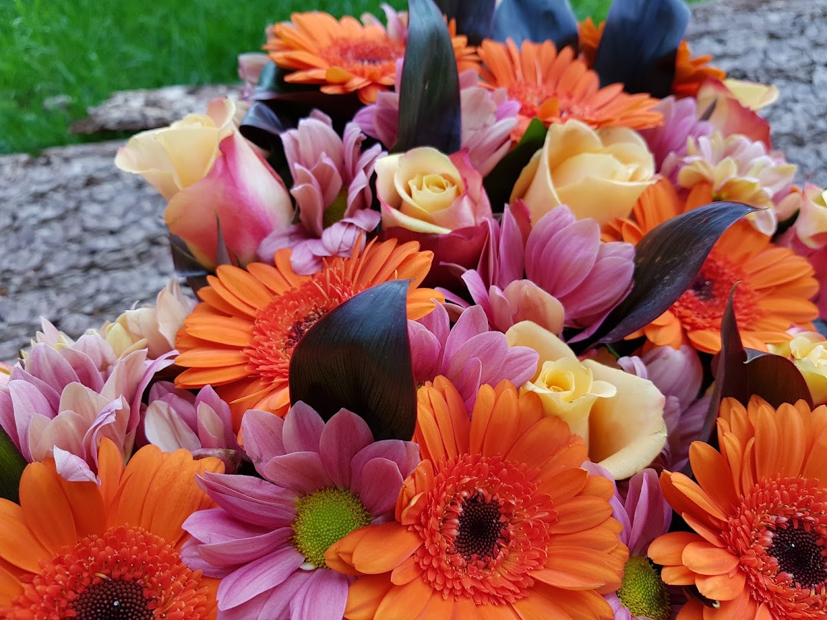 Bloem& Jij