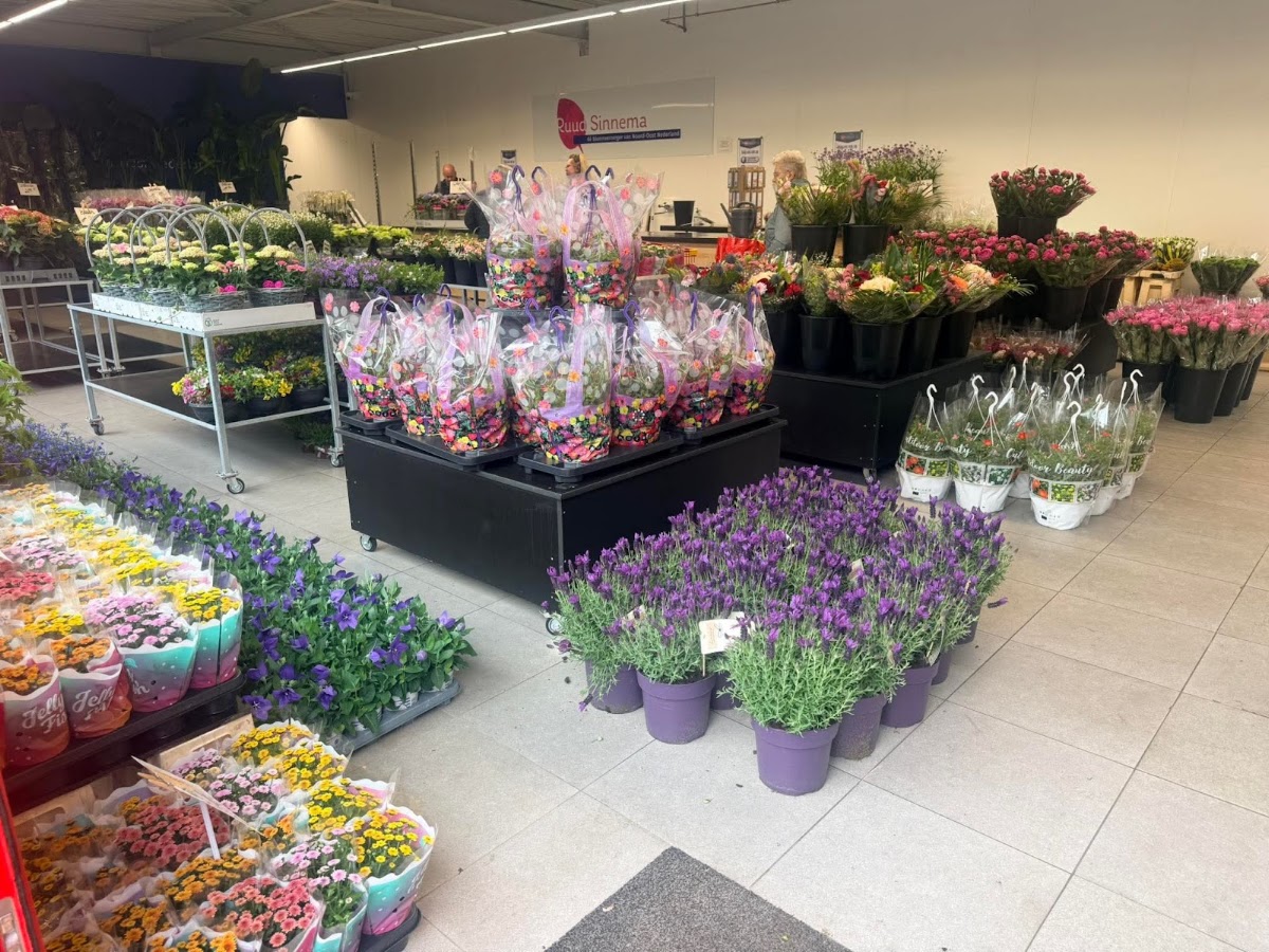 Foto van Ruud Sinnema Bloemen Emmen in Emmen