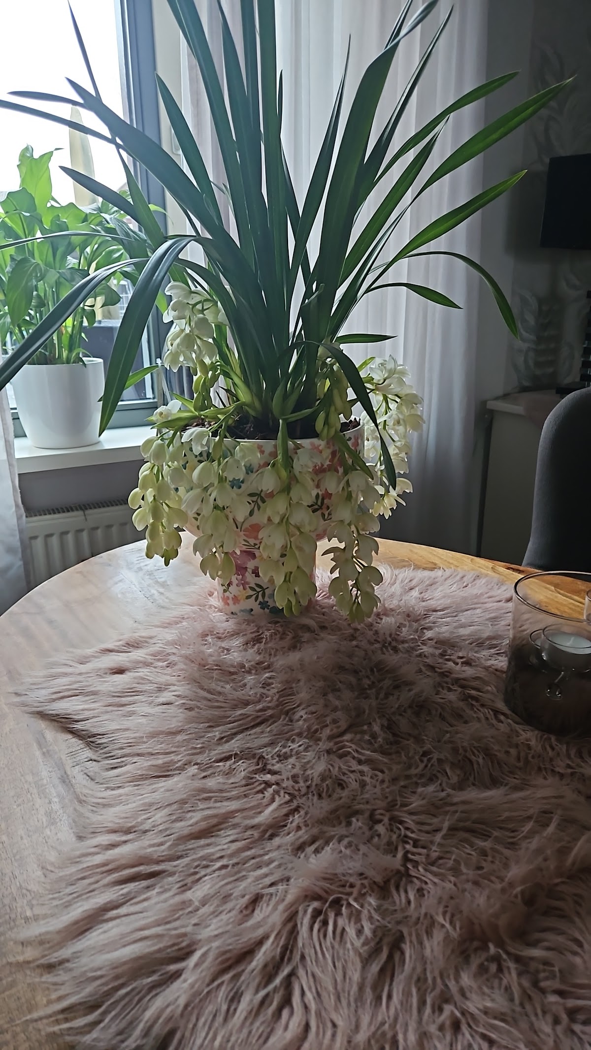 Foto van Semper Florens Bloemenwinkel - Klazienaveen in Klazienaveen