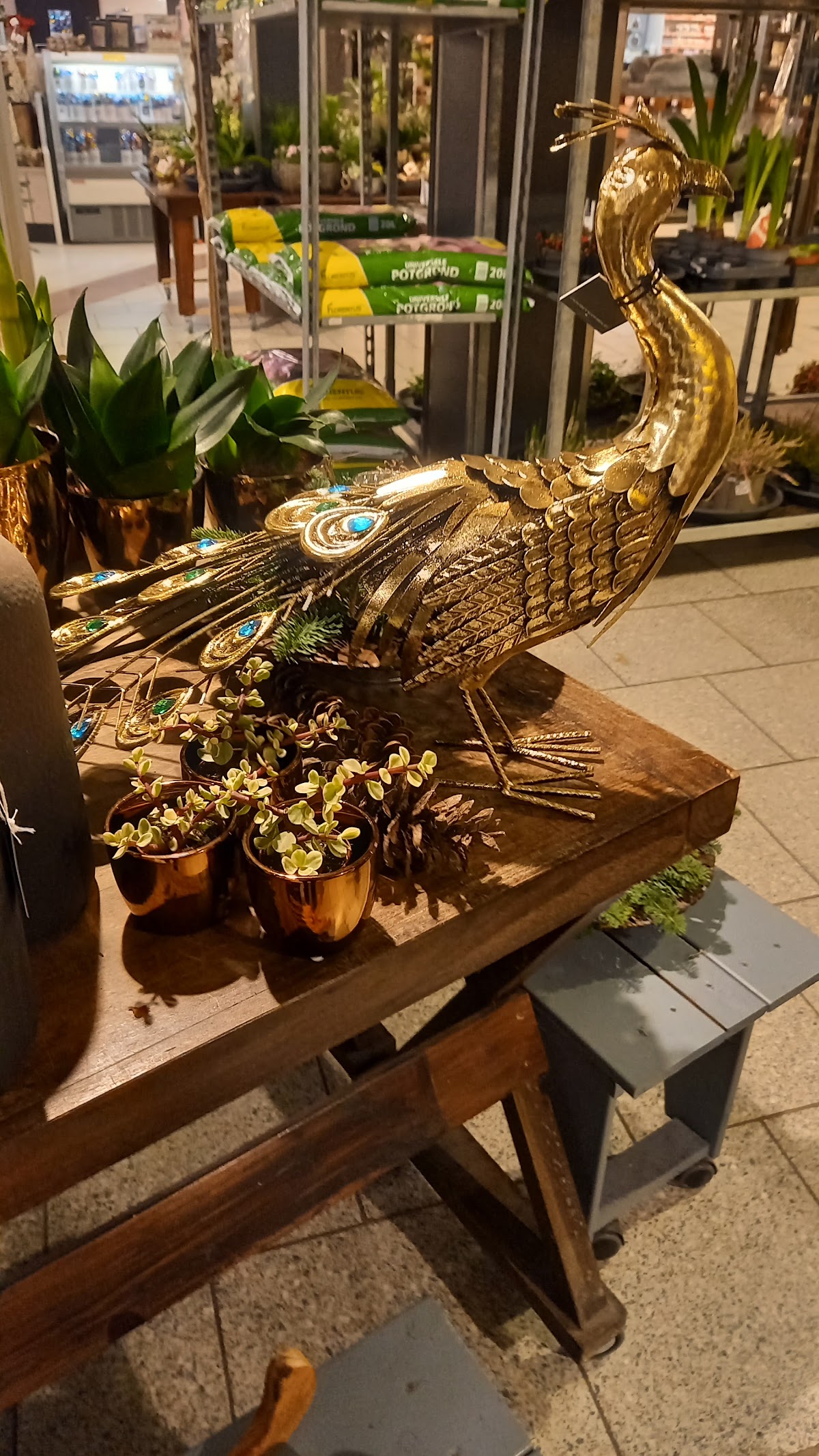 Foto van Café Fleur in Emmen