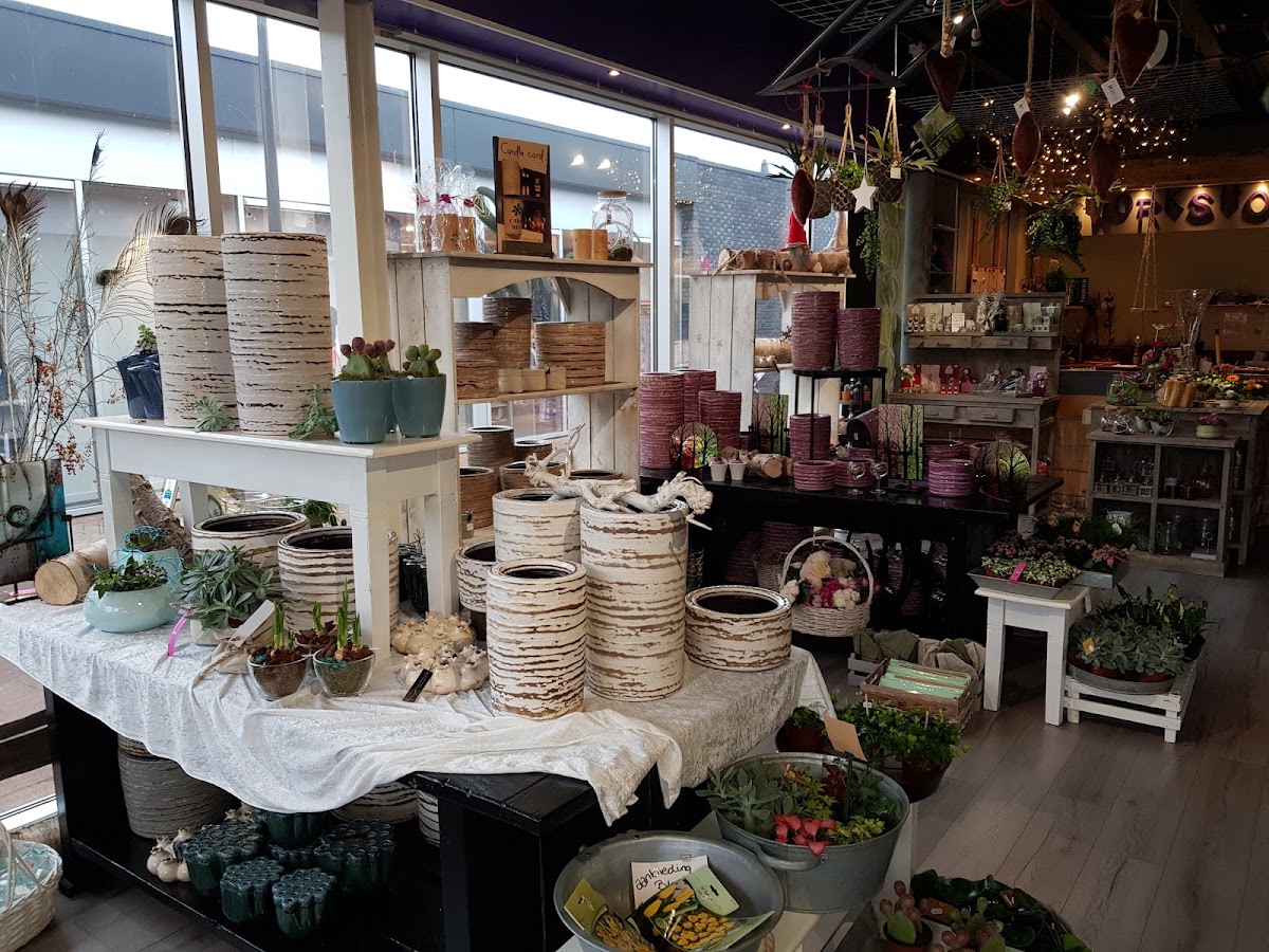 Foto van Bloem&Zo in Emmen