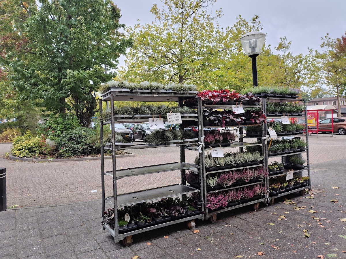 Ruud Sinnema Bloemen