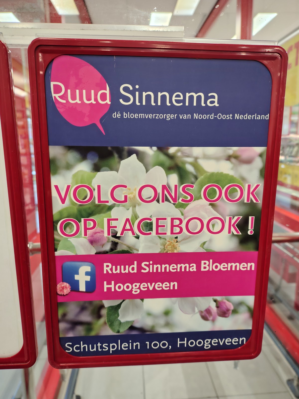 Foto van Ruud Sinnema Bloemen in Hoogeveen