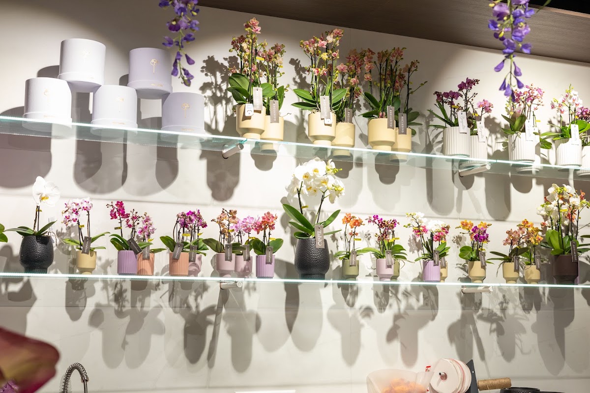 Foto van Daily Flowers Gelderlandplein in Amsterdam