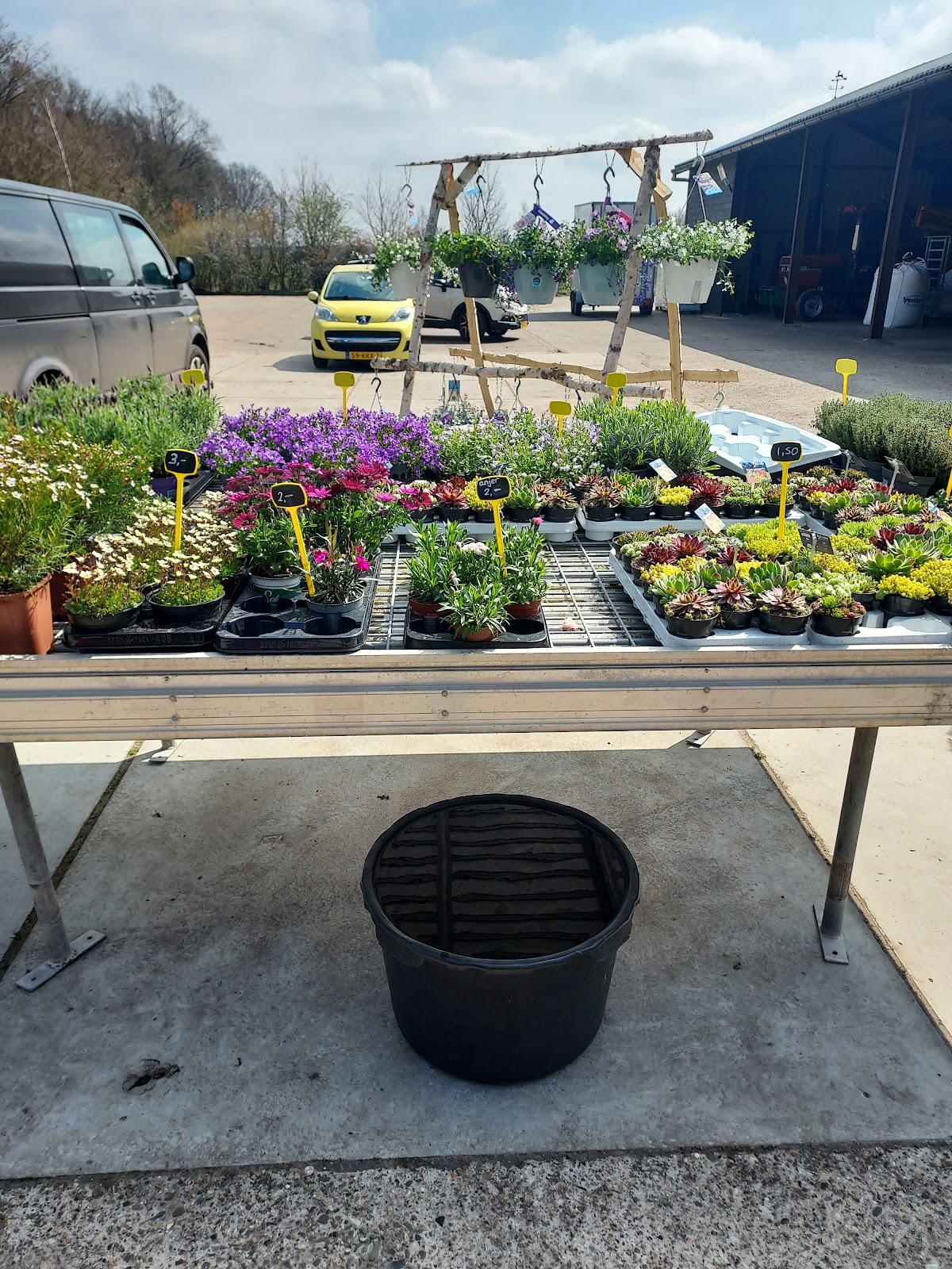 Foto van Bij de Bloemenschuur in Steenbergen