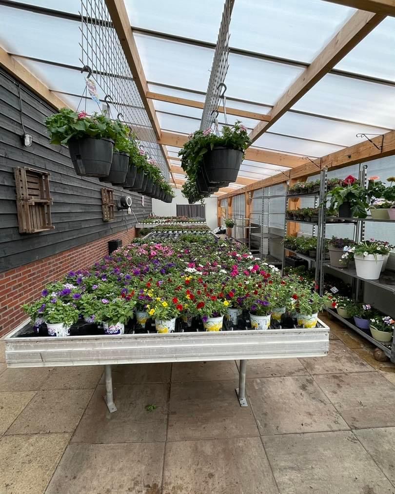 Foto van Bij de Bloemenschuur in Steenbergen