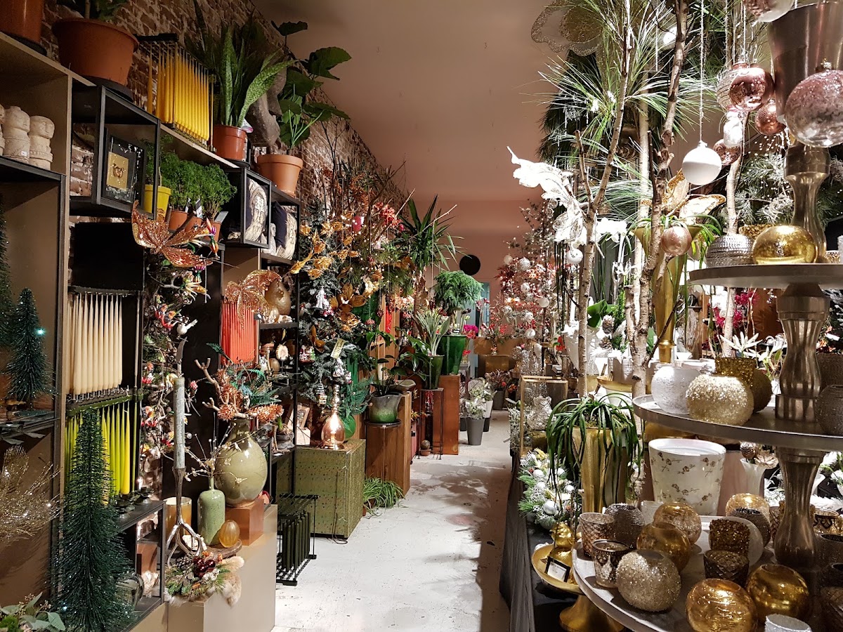 Foto van De Bloementuin in Meppel