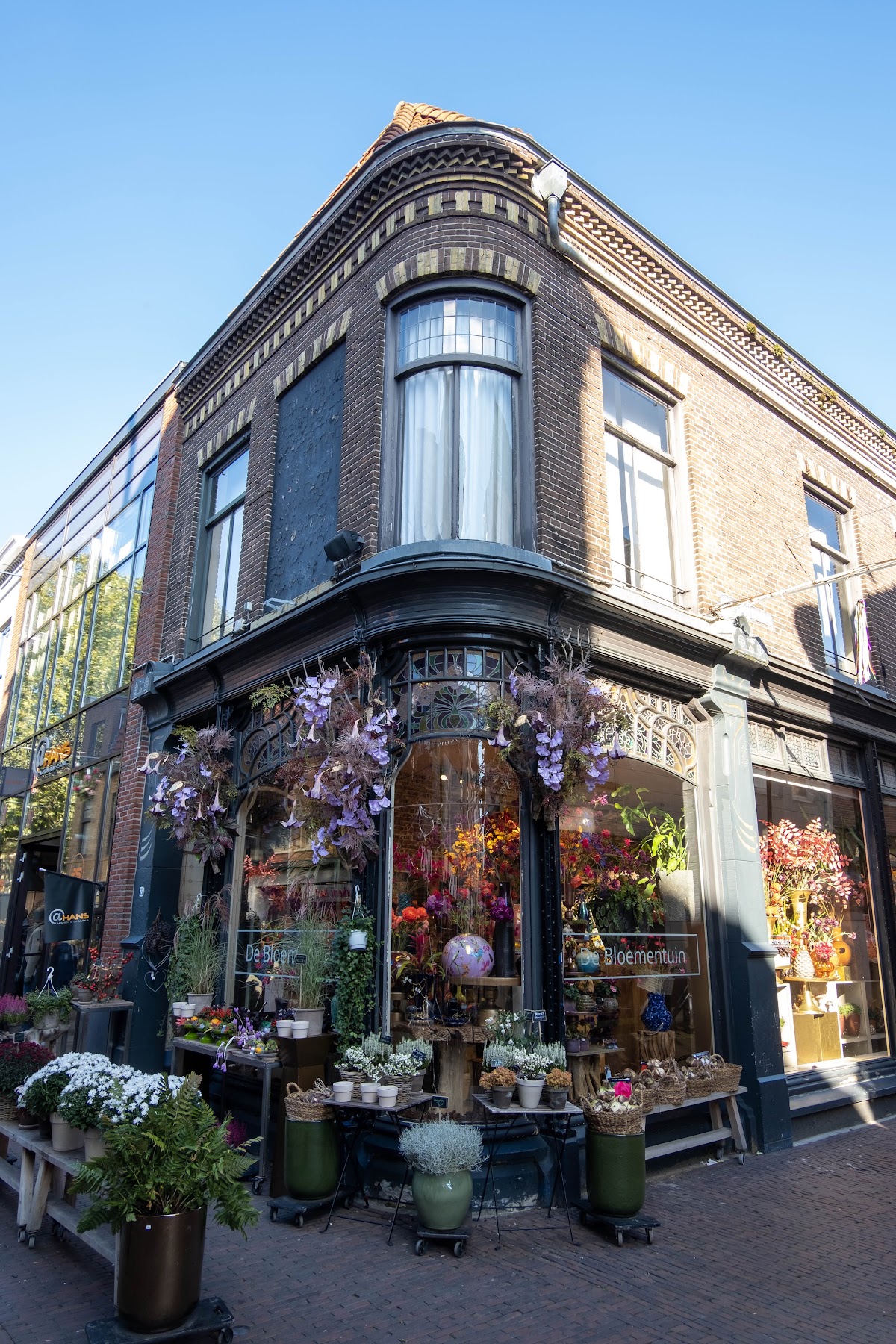 Foto van De Bloementuin in Meppel