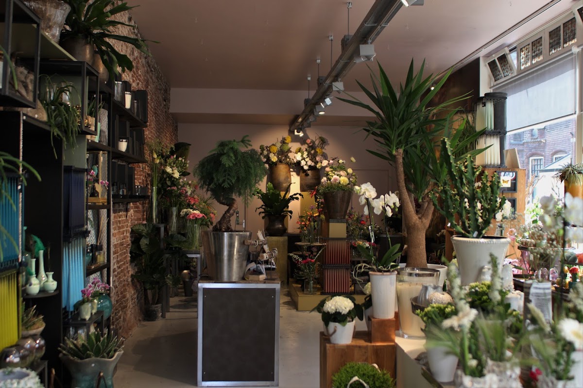 Foto van De Bloementuin in Meppel