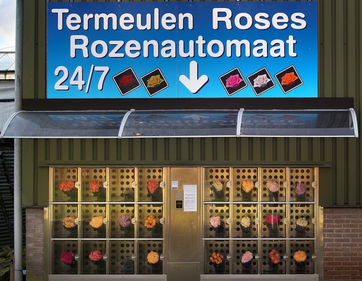 Termeulen Roses 24/7 rozen kopen