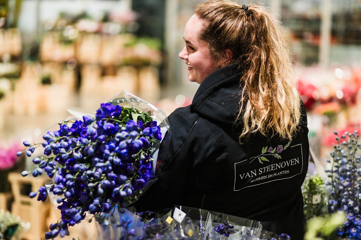 Foto van Van Steenoven Bloemen en Planten in Swifterbant