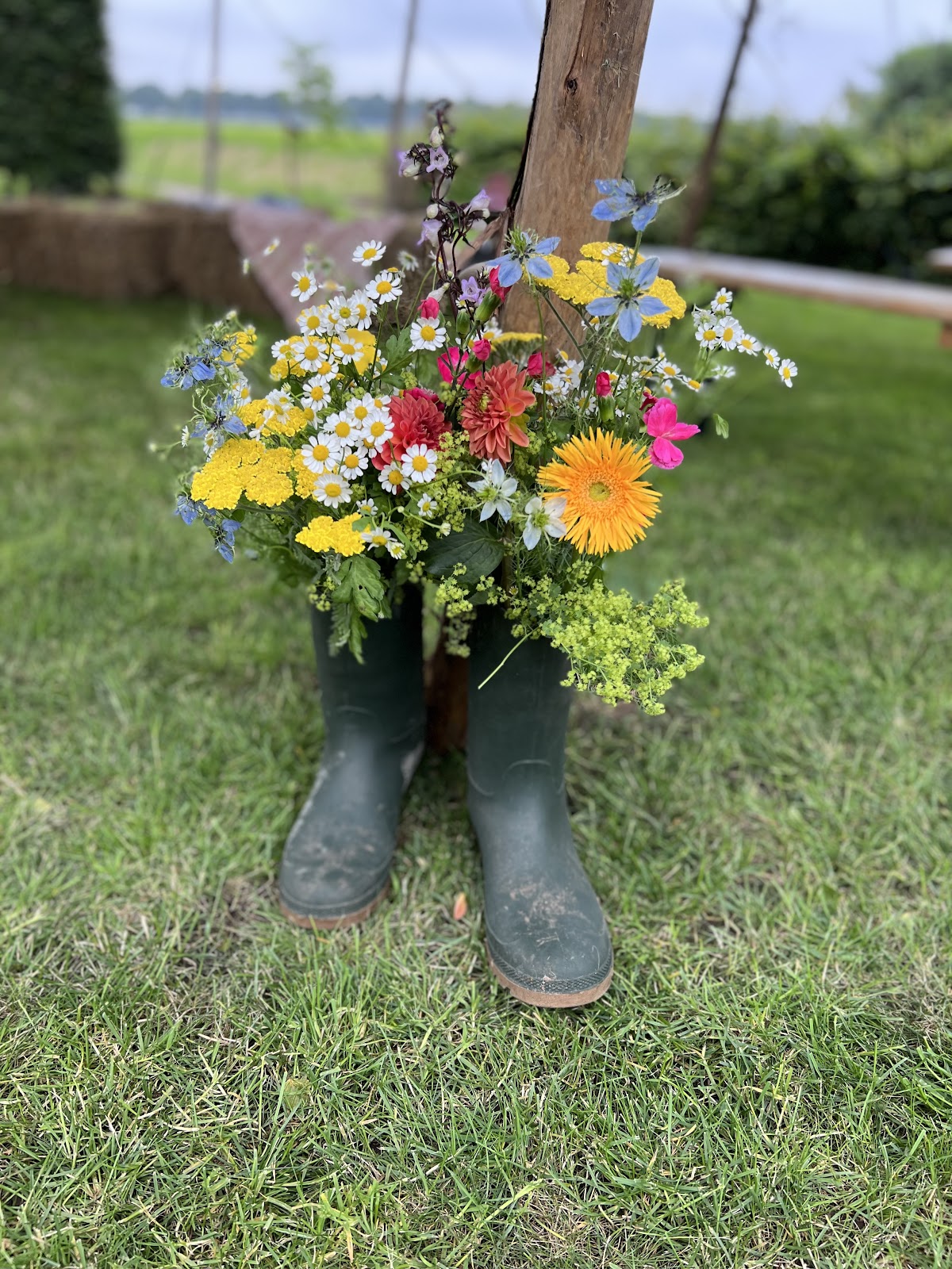 Foto van Van Steenoven Bloemen en Planten in Swifterbant